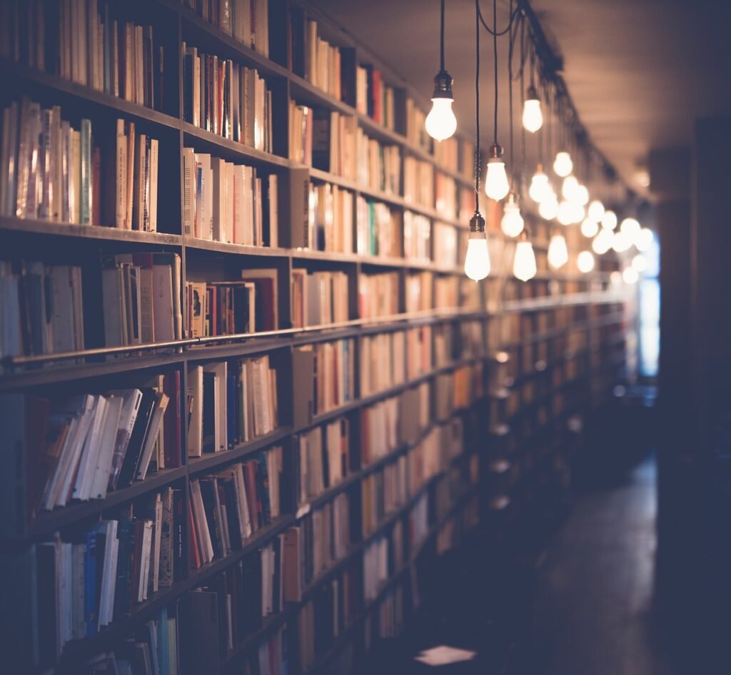 What Is A Library Murphy Bed?