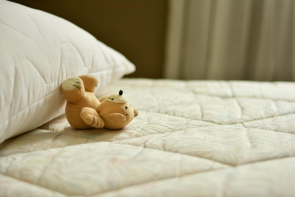 Can I Find A Murphy Bed At Costco?
