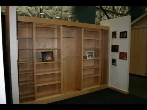 The BEST Bookcase Murphy Bed The BEST Bookcase Murphy Bed