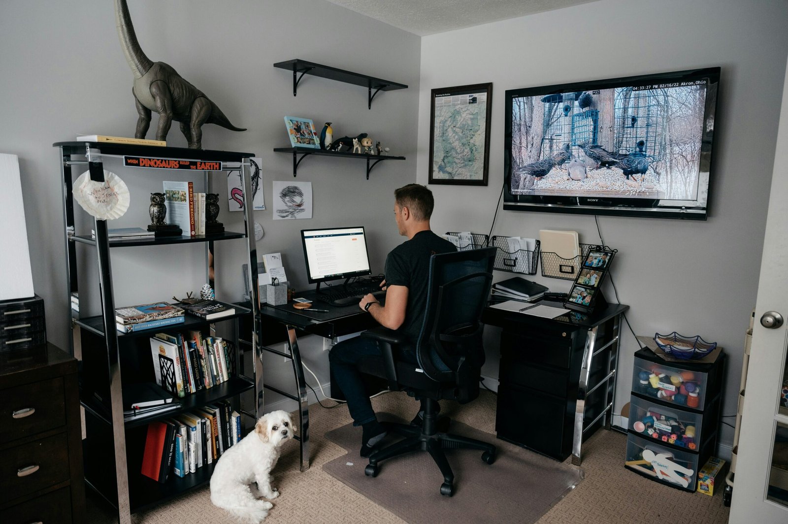 Murphy Bed Desk Guide: Features, Setup, and Room Planning