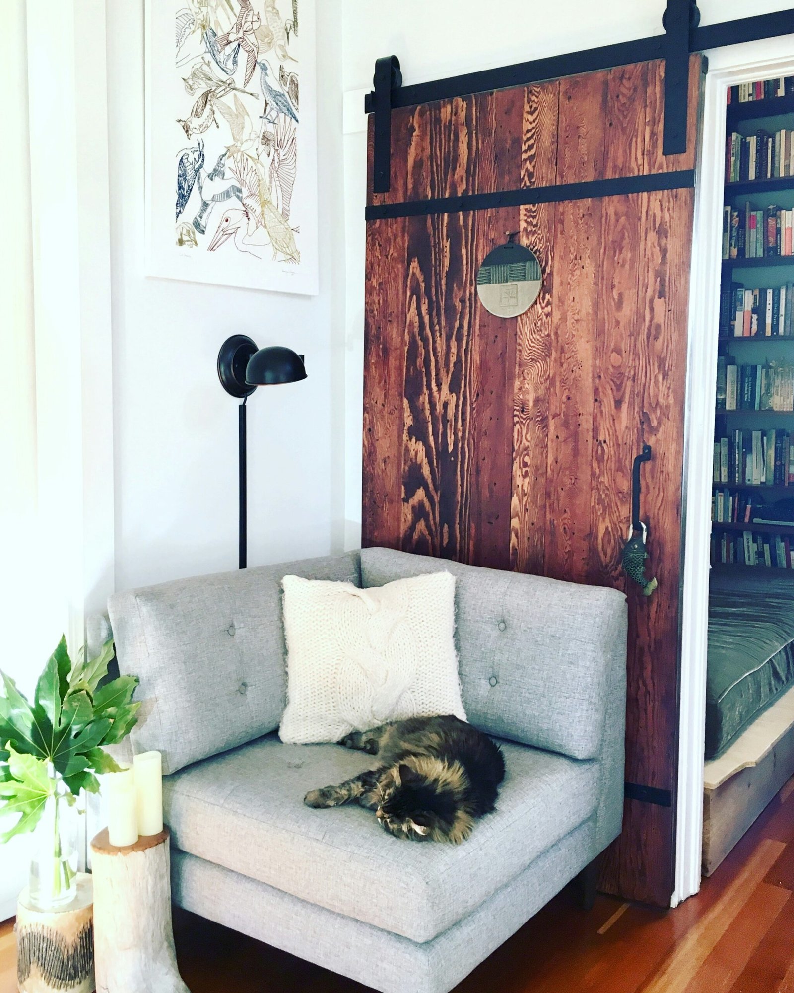 https://www.youtube.com/watch?v=bPCIf6Ivm40 - Best Murphy Beds 2026: Top Picks Buying Guide for Small Homes https://www.youtube.com/watch?v=bPCIf6Ivm40 - Best Murphy Beds 2026: Top Picks Buying Guide for Small Homes